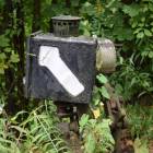 Fotka nr 4 z 21