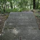 zdjęcie nr 11