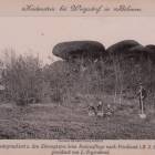 zdjęcie nr 37
