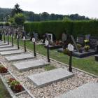 zdjęcie nr 40