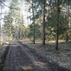 zdjęcie nr 27