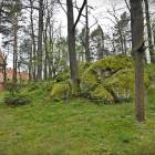 zdjęcie nr 16