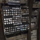 Fotka nr 5 z 66