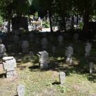 zdjęcie nr 13