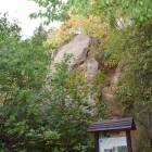 zdjęcie nr 
