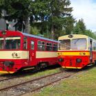 Fotka nr 3 z 15