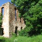 zdjęcie nr 8