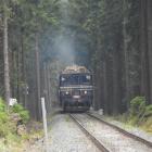 zdjęcie nr 48