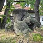 zdjęcie nr 13