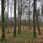 zdjęcie nr 63
