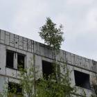 zdjęcie nr 47