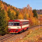 Fotka nr 1 z 15