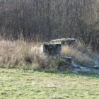 zdjęcie nr 14