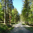 zdjęcie nr 30