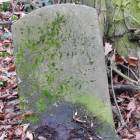 zdjęcie nr 39