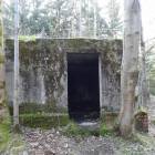 zdjęcie nr 14