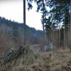 zdjęcie nr 40