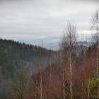 zdjęcie nr 33