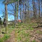 zdjęcie nr 8