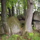 zdjęcie nr 8