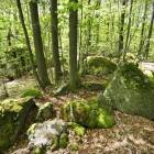 zdjęcie nr 32
