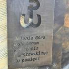 zdjęcie nr 8