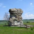zdjęcie nr 8