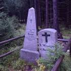 zdjęcie nr 7
