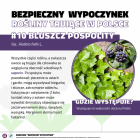 Fotka nr 3 z 14