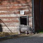 zdjęcie nr 30