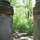 zdjęcie nr 40