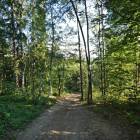 zdjęcie nr 30