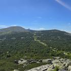 zdjęcie nr 31
