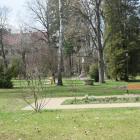 zdjęcie nr 41