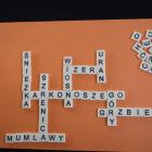 zdjęcie nr 17