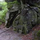 zdjęcie nr 55