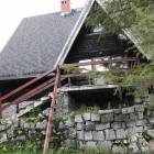 zdjęcie nr 11