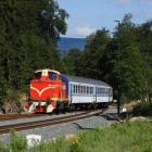 Fotka nr 3 z 20