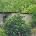 zdjęcie nr 43
