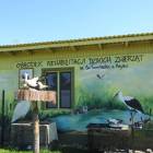 zdjęcie nr 43