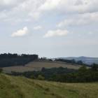 zdjęcie nr 30