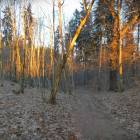 zdjęcie nr 22
