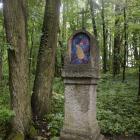 zdjęcie nr 41