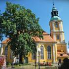 zdjęcie nr 38