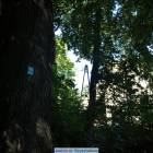 zdjęcie nr 25