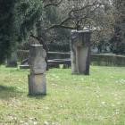 zdjęcie nr 31