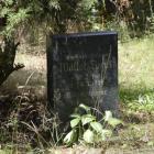 zdjęcie nr 32
