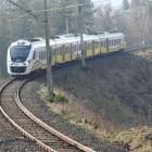 zdjęcie nr 7