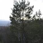 Fotka nr 3 z 12