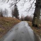 Fotka nr 1 z 8